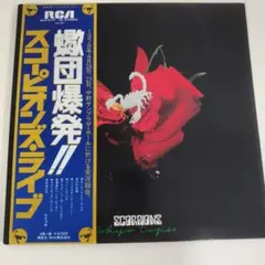 スコーピオンズ/蠍団爆発!!～スコーピオンズ・ライヴ紙ジャケットBSCD