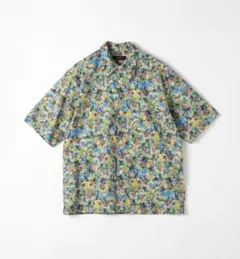 Item thumbnail for item 06d59632-22aa-46f0-81a7-822aa1bcc1f2