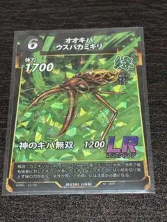 レモイネイトゲウスバカミキリ 標本 2025年最新】カミキリ 昆虫標本の人気アイテム - メルカリ