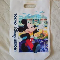 東京ディズニーリゾート バッグ ミッキー ミニー