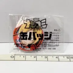 【未使用】 ハイキュー!! 孤爪研磨 缶バッジ