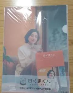 Item thumbnail for item 49f73f96-cf86-4985-a1c6-b5f48e8fc89c