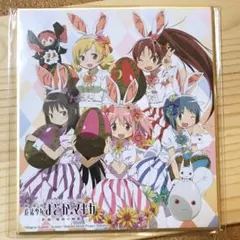 魔法少女まどか☆マギカ ミニ 色紙 魔法少女まどかマギカ まどマギ mm11