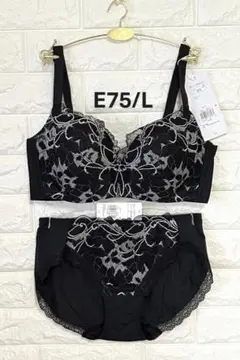 ブラフラ トリンプ 夏ブラ COOL627 上下セット ダークグレー F75/L - メルカリ