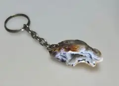 Item thumbnail for item fe40f706-af29-49fa-bde9-12c8f57c15c3