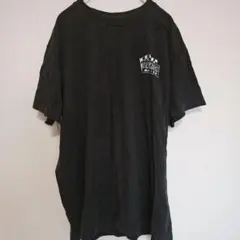 Item thumbnail for item 77cb3c86-d4e8-462f-b6ec-b2a1bf7e49e8