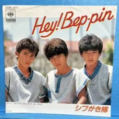 LPレコード　シブがき隊　少年隊　まとめ売り LP records Shibugaki Tai / SHIBUGAKITAI Summer16 / Boys & Girls