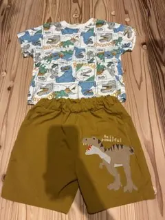 恐竜柄Tシャツとショートパンツセット