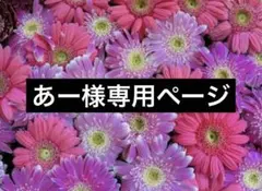 あー様専用ページのサムネイル