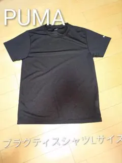 Item thumbnail for item 2de72e41-1b23-474e-b222-0d1a8724e75e