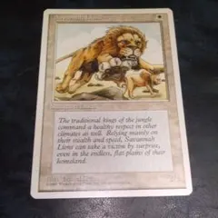 2026年最新】MTG ライオンの人気アイテム - メルカリ