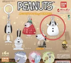 PEANUTS めじるしアクセサリー FUNNY ver. スヌーピーE