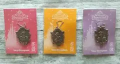 ディズニー　非売品　プリンセス　キーチェーン　チャーム