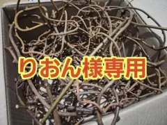 りおん様専用ページ