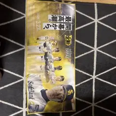 ソフトバンクホークス 記念グッズ