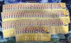 希少 美品】ポケモンずかんカード ポケパーク 2005年 プロモ