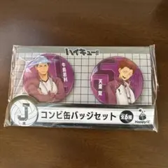 ハイキュー!! コンビ缶バッジセット