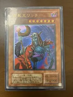 不死王リッチー PSA10 レリーフ　値下げ不可 2026年最新】不死王リッチー レリーフ psa10の人気アイテム - メルカリ