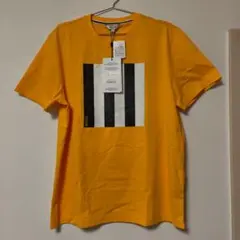 AIGLE Tシャツ 半袖 Lサイズ