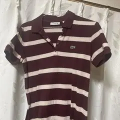 ボーダーラコステポロワンピ36 9号ゴルフ