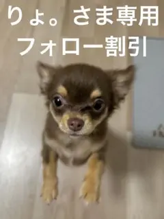 りょ。さま専用商品