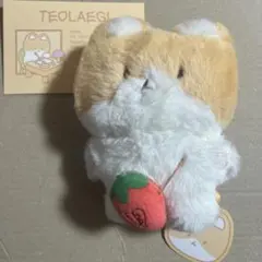 2026年最新】TEOLAEGIの人気アイテム - メルカリ