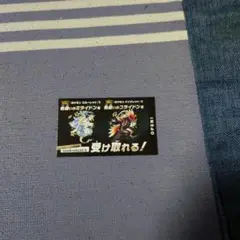 色違いミライドンとコライドン