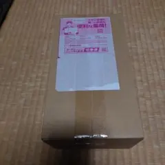 【新品未開封】ポケモンセンタースペシャルBOXヒロシマ ポケモンカード