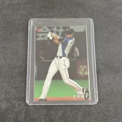 プロ野球カード プロ野球チップス 大谷翔平選手カード 即購入○ 2014年