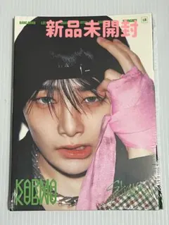 straykids KARMA 新品未開封 アコーディオンver.アイエン