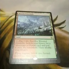 MTG 吹きさらしの荒野/Windswept Heath 英語版 旧枠Foil - メルカリ