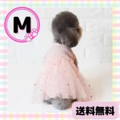 Item thumbnail for item f84a5abb-a8e2-4200-8e12-66bdac80eab7