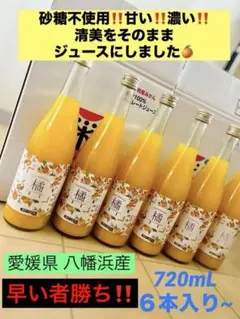 Item thumbnail for item 9375992d-ec0e-49a2-9d38-4031b705b309