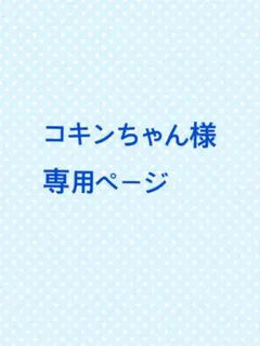 コキンちゃん様専用ページ