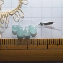 Item thumbnail for item 3324236d-5b24-47ae-be9e-60096f659ac5