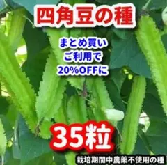 モモリーヌ様 リクエスト 4点 まとめ商品