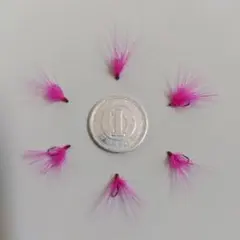 Item thumbnail for item bf6ced2a-f2f6-4398-980d-8d76cc98471a