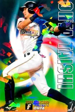 大田泰示 北海道日本ハムファイターズ スターカード プロ野球チップス2019