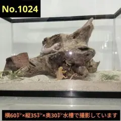 Item thumbnail for item 9898cfeb-8ef3-4af5-92ff-5168aac0b0ec