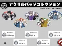 観崎薫 12枚セット 缶バッジ 梅田スカイビル ファントムバスターズ