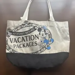 東京ディズニーリゾート ミッキー バッグ