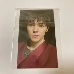 17 is right here 会場限定 ユニバ特典 バーノン トレカ