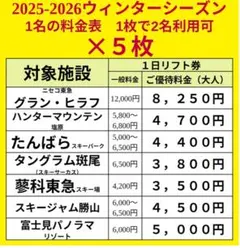 5枚セット1枚で大人2名可リフト券割引券ハンタマグランヒラフたんばら勝山他