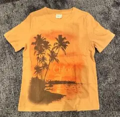 Chloe クロエ 半袖 Tシャツ ヤシの木プリントのサムネイル
