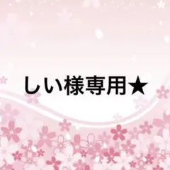 しい様専用★