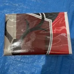 鹿島アントラーズ レジャーシート