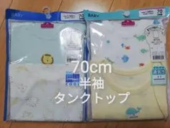 Item thumbnail for item 49b9c495-f7f7-495f-9c27-d54ee1e6b84e