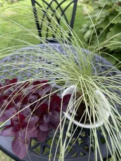 福mube様 リクエスト 3点 まとめ商品