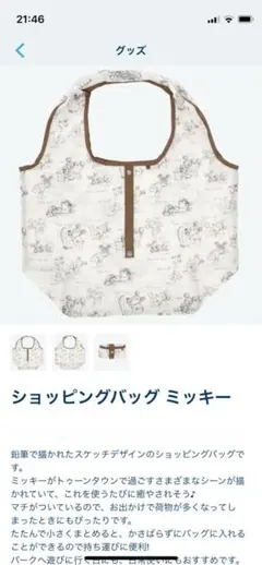 ディズニーリゾート　ショッピングバッグ　エコバッグ