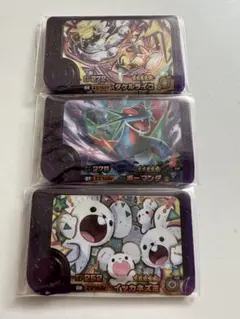 ポケモンフレンダ タケルライコ ボーマンダ イッカネズミ 3枚セット